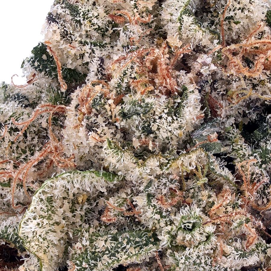 White Rainbow THCa Flower, photo 2 of 2